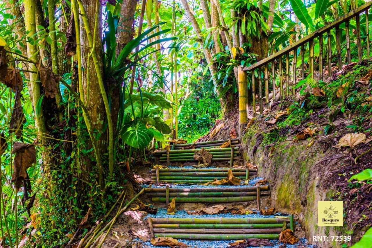 Hotel Bosques De La Pradera Manizales Zewnętrze zdjęcie
