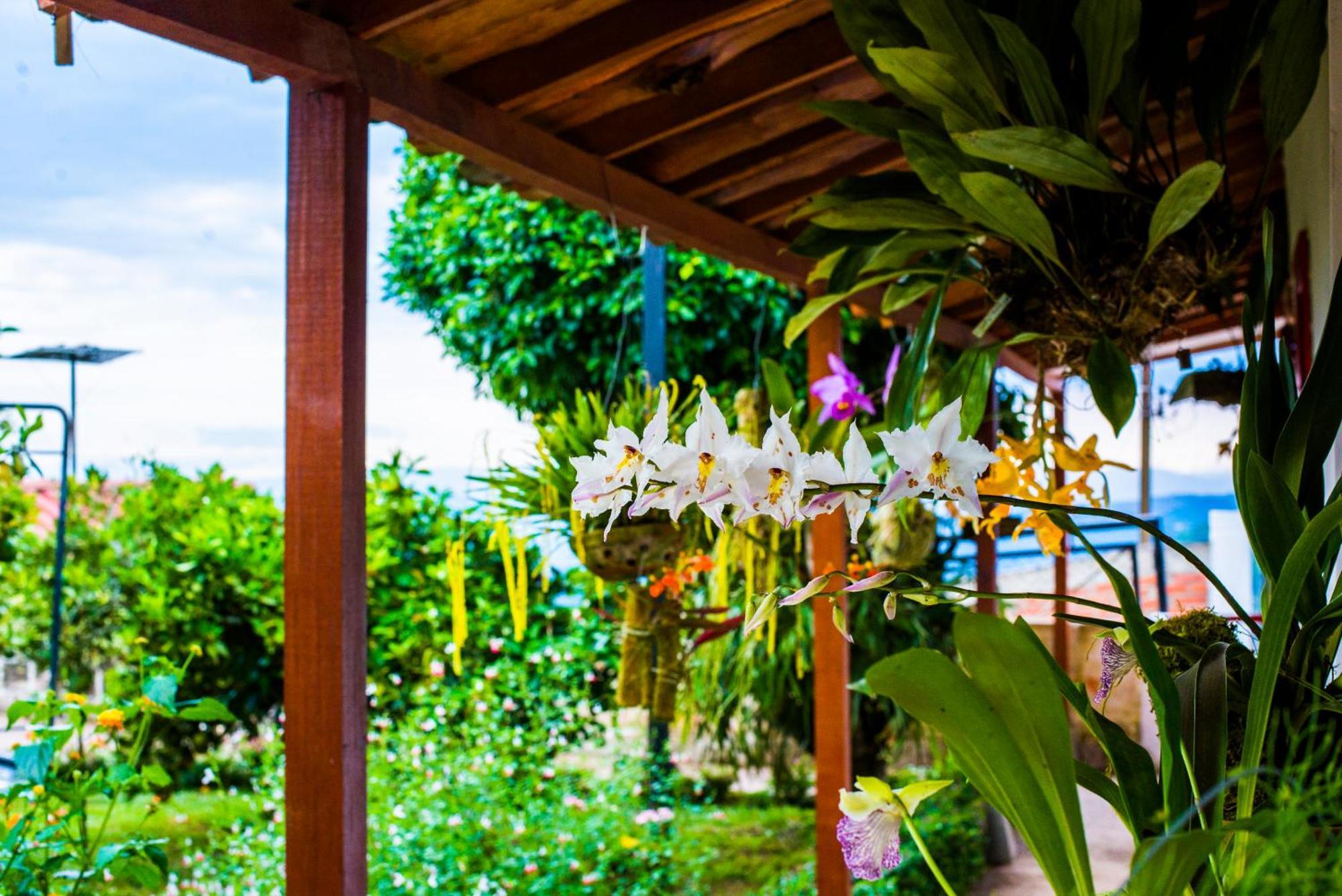 Hotel Bosques De La Pradera Manizales Zewnętrze zdjęcie